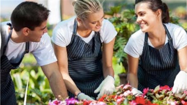 Amateurs de fleurs? Rendez-vous aujourd'hui et demain à Beauharnois 