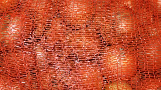 Sacs d’oignon, de citrons et d’avocats pour encourager un projet à Beauharnois 