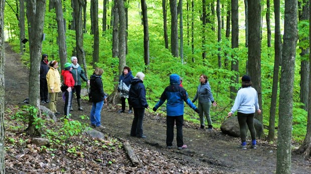 La forêt des sentiers de L'escapade nommée 