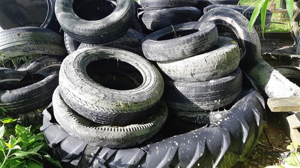 2392 livres de déchets sont sorties du lac Saint-François