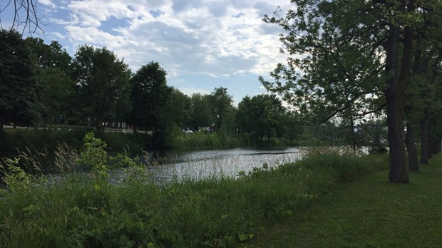 Fauchage de plantes envahissantes : la Ville veut maintenir la biodiversité de ses berges