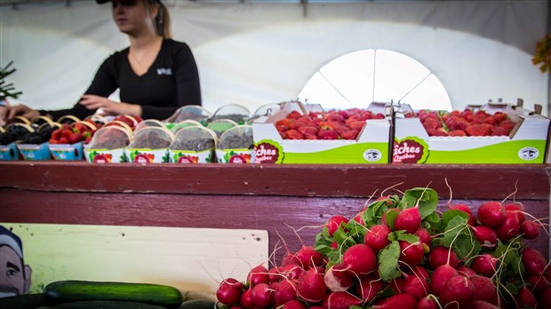 Fête des Moissons: des activités pour toute la famille à Sainte-Martine 