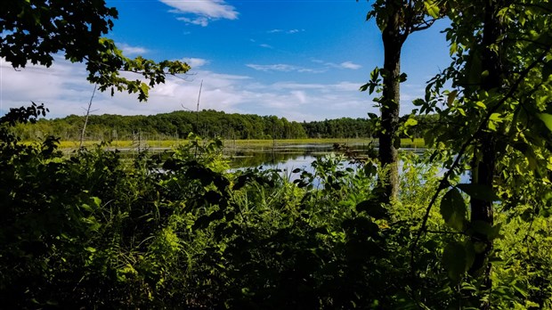 Ottawa protège 63 hectares du Mont Rigaud 
