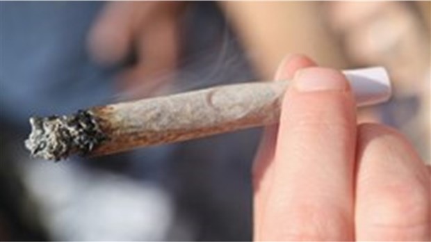 Le cannabis et ses effets expliqués aux parents lors d’une conférence 