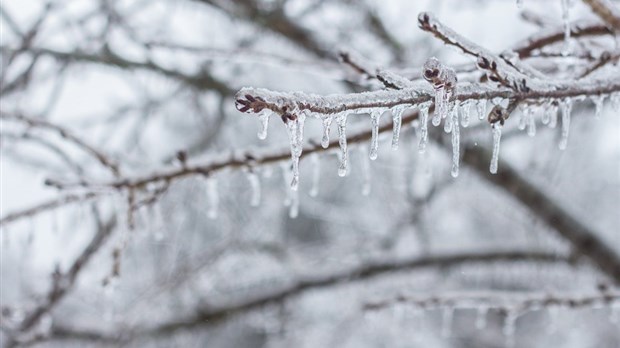 Météomédia compare la prochaine tempête à la crise du verglas de 1998