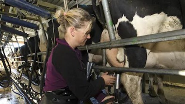 Agriculture : un forum pour que les femmes osent faire le saut