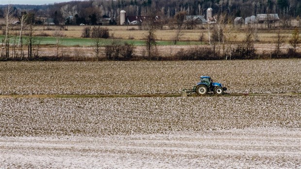 Dominique Anglade propose un Code de conduite pour encadrer les producteurs agroalimentaires