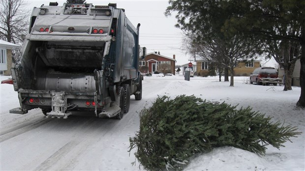 Deux collectes d'arbres de Noël prévues en janvier 