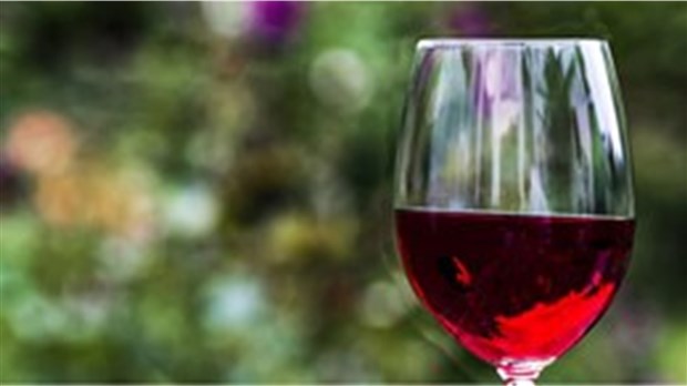 Atelier vinicole en ligne pour les Staniçois le 29 décembre 