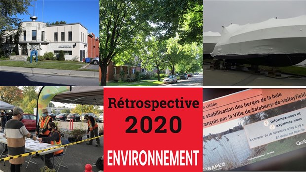 Retour sur l'actualité environnementale de 2020