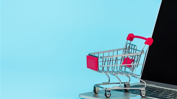 Faites-vous vos achats en magasin ou en ligne?