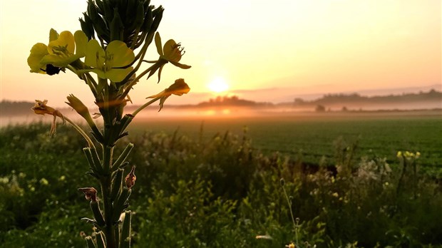 Préparer l’adaptation des fermes aux changements climatiques, le plan du forum régional Agriclimat