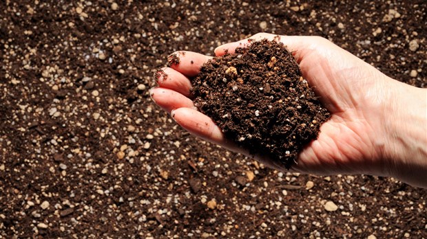 Distribution gratuite de compost dans trois lieux de la MRC 