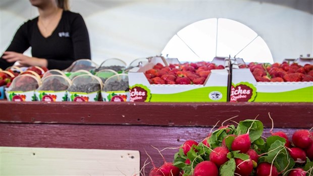 Sainte-Martine annule à contrecoeur sa Fête des Moissons 