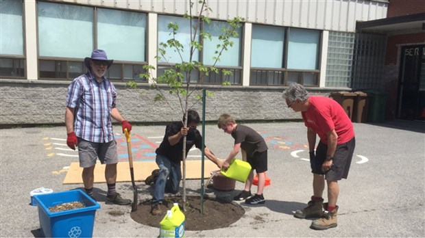 Cinq arbres plantés à l’école primaire Sacré-Coeur de Sainte-Martine 