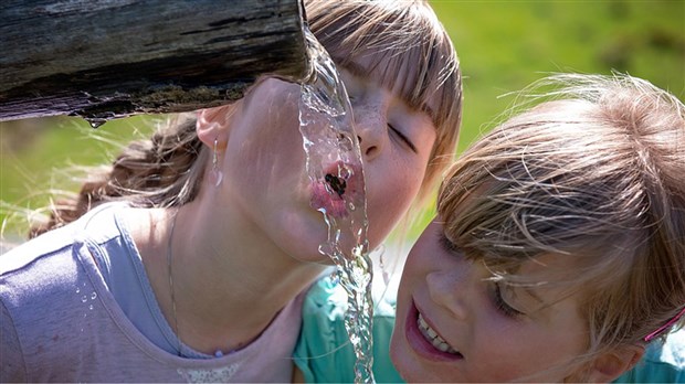 Conseils pour combattre la canicule 