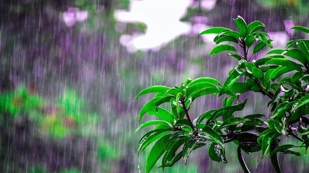 Une trentaine de millimètres de pluie et de forts vents sont prévus dans les prochaines heures