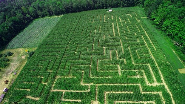 Les labyrinthes du Verger Labonté: un voyage dans le temps pour sauver le futur