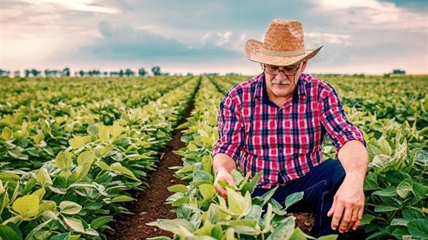 21 M$ aux agriculteurs touchés par les dommages causés par la sécheresse