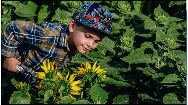 Domaine La Belle: l’arrêt incontournable à faire cet automne dans Vaudreuil-Soulanges 