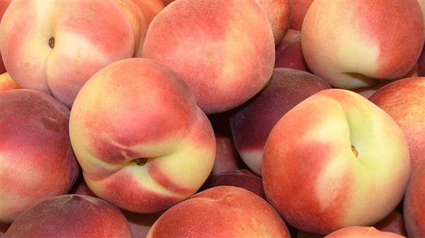 L'ACIA procède au rappel de pêches provenant des États-Unis
