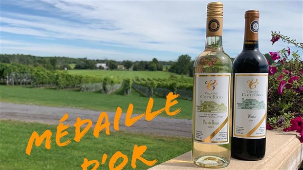 Le Vignoble Cortellino se démarque à l'échelle provinciale 