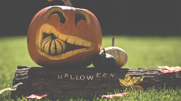 Comment pensez-vous célébrer l’Halloween cette année? 