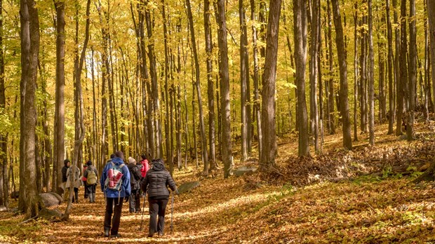 Accès limité aux Sentiers de L’escapade dès le 21 septembre