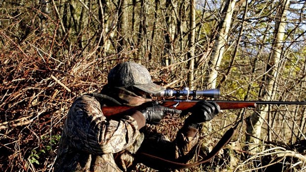 Début de la chasse : la SQ appelle à la prudence en milieu isolé