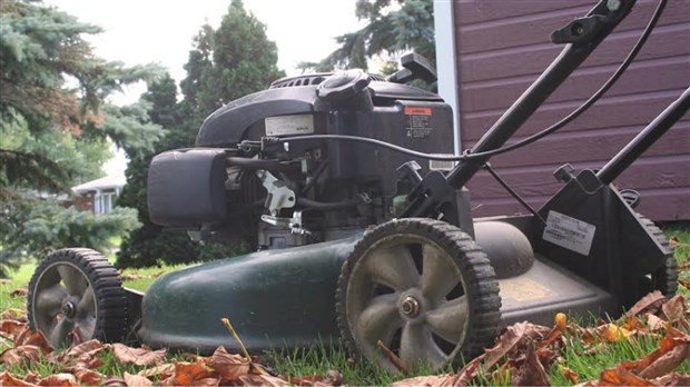 Considérez le bac brun pour disposer des feuilles mortes et résidus verts 