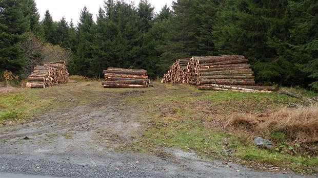 Le Canada camoufle plus de 80 millions de tonnes d’émissions de CO2, selon Nature Québec