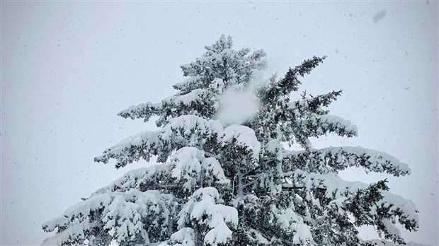 Plus de neige qu'à la normale cet hiver au Québec 