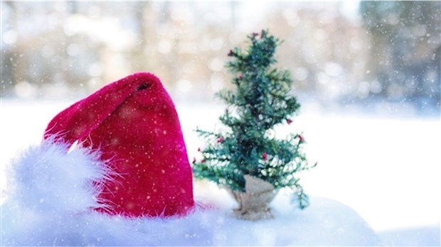 Rencontrez les vrais lutins du Père Noël ce samedi à Beauharnois 