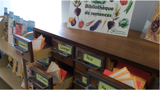 Démarrez votre potager grâce à la bibliothèque de Saint-Timothée 