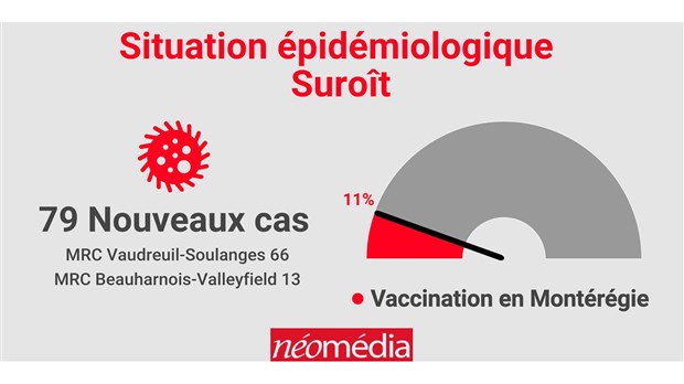 Bilan de la situation épidémiologique dans le Suroît