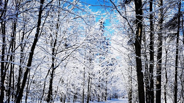 L'hiver n'a pas dit son dernier mot