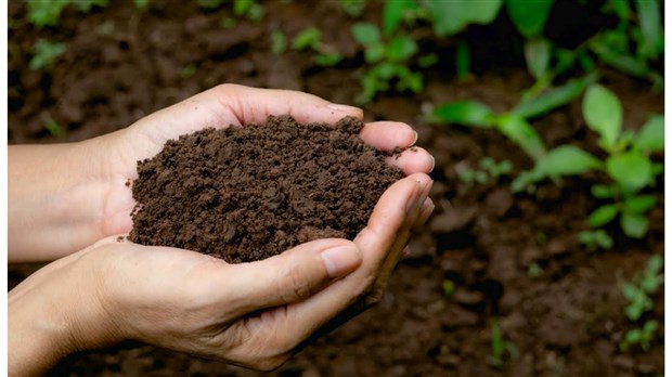 Distribution gratuite de compost dans la MRC de Beauharnois-Salaberry 