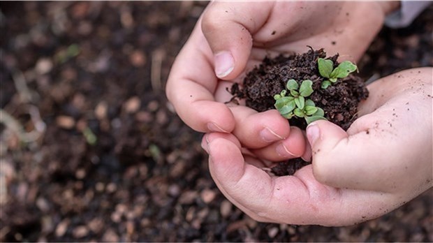 Mise en place d'un jardin collectif à Saint-Urbain-Premier 