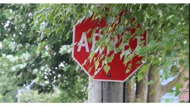 Les panneaux de signalisation et les bornes-fontaines doivent être visibles en tout temps