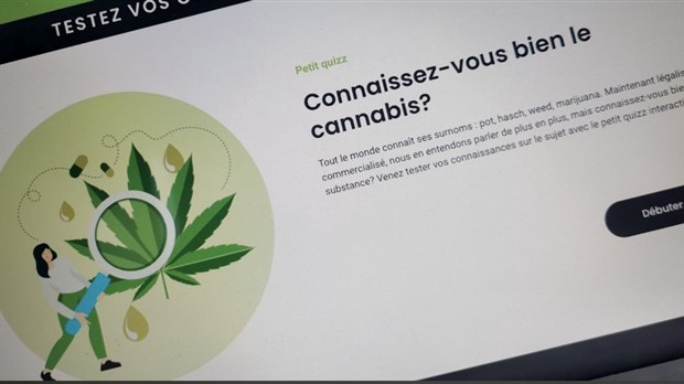 Liberté de choisir et ses partenaires lancent la campagne Info-cannabis 