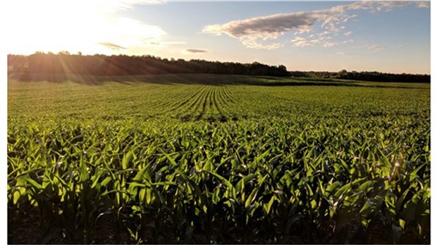La santé des sols agricoles, un enjeu pour l'UPA et ses partenaires