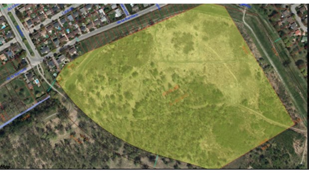 Salaberry-de-Valleyfield vise un reboisement massif du petit bois vert 