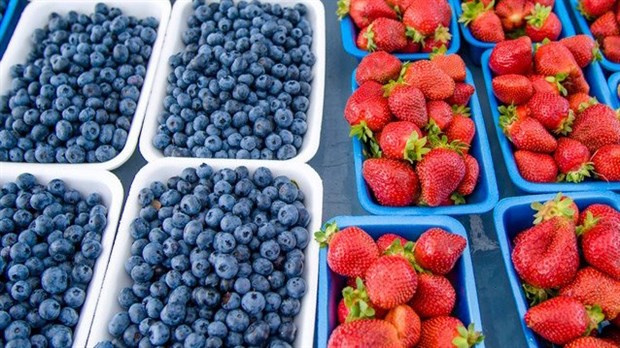 Coup d'envoi du Marché public régional de Salaberry-de-Valleyfield aujourd'hui 