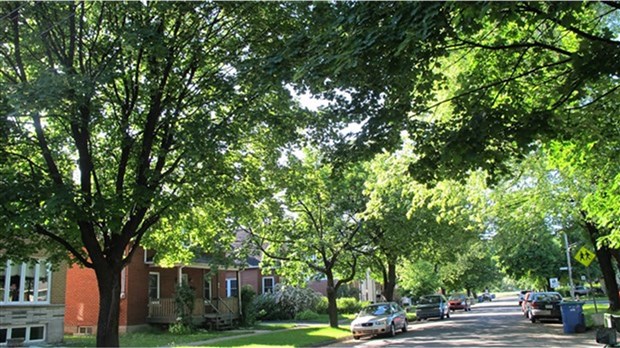 Salaberry-de-Valleyfield met sur pied un fonds vert 