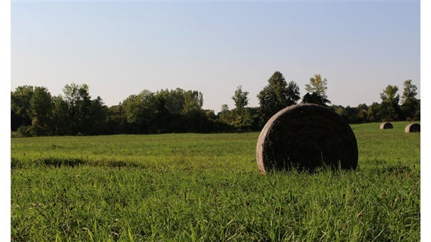 Pesticides: plusieurs efforts des agriculteurs pour en diminuer l'usage 