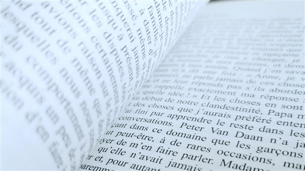 Le milieu culturel de la MRC peut encore participer au second appel de projets en Montérégie-Ouest 