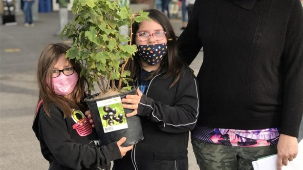 Salaberry-de-Valleyfield distribue 325 arbres à ses citoyens 