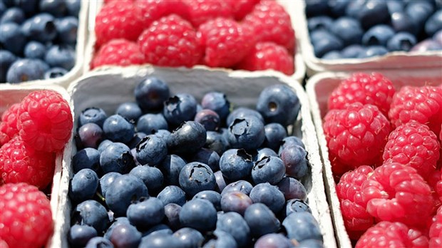 Un marché public régional varié ce samedi 