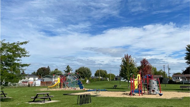 Investissements de 10 000$ pour planter des arbres au parc Larin 