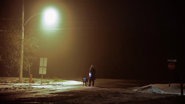 Interdit de promener son chien après 22h au Québec